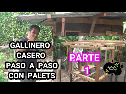 Vídeo: Gallineros En Su Patio Trasero - Matador Network