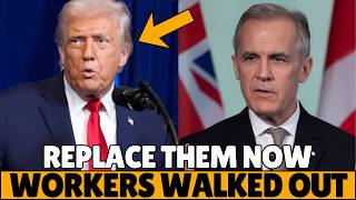 Trump Called Them “Replaceable” — Then America Realized Nobody Could Replace Them Net Worth