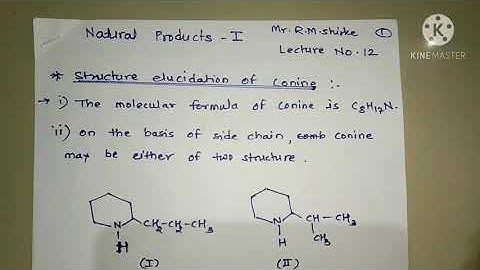 Structural elucidation of Conine and synthesis of Conine.