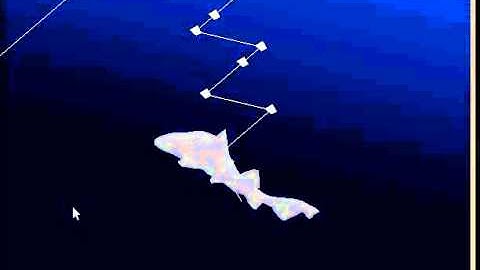 Shark Visualization Demo 5