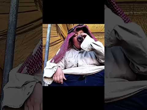 ولد الشيخ طبيخ لا أحد ينقد مافي محتوى