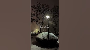 علّق بشيء تُؤجر عليه🤍#ياسرالدوسري #سورة الجاثية  #quran #exp #تلاوة_خاشعة #اسلاميات #قرآن #قرآن_كريم