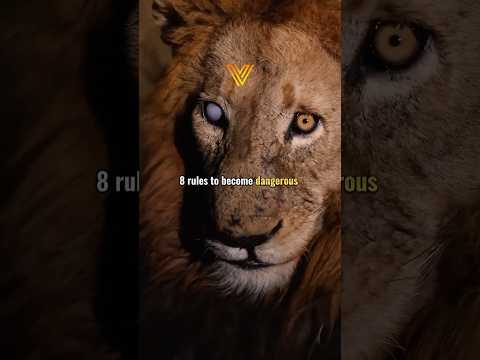 8 Rules to become dangerous  | Mindset of a High-Performe...