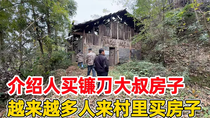 介绍人买镰刀大叔房子，村里的房子因为李俊全部升值了，都想来买房养老