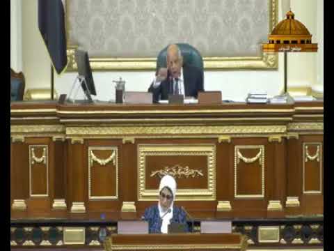 النائبة دينا عبدالعزيز