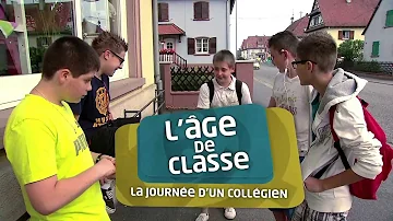 Quel âge entrée en 6eme ?