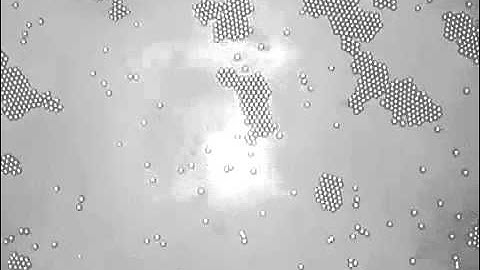 Living Crystals of Light-Activated Colloidal Surfers