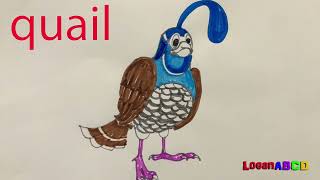 Abc Letter Alphabets Animal Letters