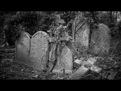 pavle kalandadze ვიწრო ბილიკი