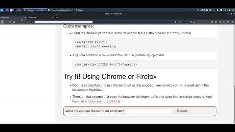 WebGoat 8 - Cross Site Scripting  (XSS)  Lesson 2