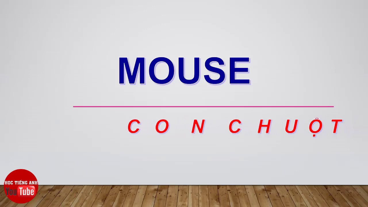H c T V ng M i M i Ng y Con Chu t Mouse How To Pronounce Mouse h-c-t-v-ng-m-i-m-i-ng-y-con-chu-t-mouse-how-to-pronounce-mouse