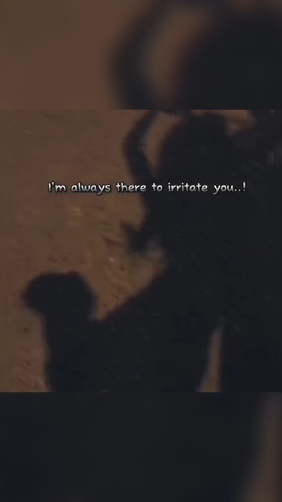 I Am Always There To Irritate You aesthetic funny ytshots shorts i-am-always-there-to-irritate-you-aesthetic-funny-ytshots-shorts