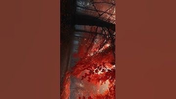 You Must Install These Wallpapers on Your PC |Part 9| #shorts #shortvideo #autumn