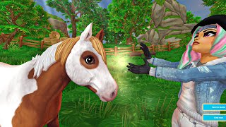 Buying New Ponies At Pony Championship Star Stable Online Update