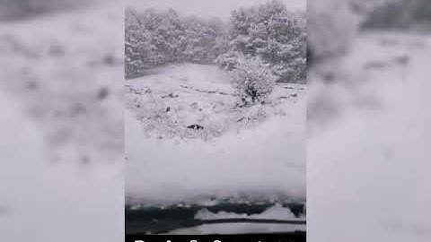 استمتع بي 50دقيقة من راحة نفسية واسترخاء 👍♥️♥️♥️👈القرآن الكريم ❤️😘💪🤲