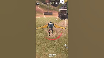 They were in a delusion and decided to chase!