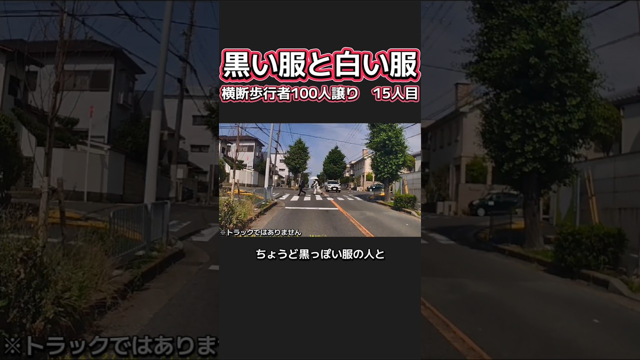 【黒い服と白い服】横断歩行者100人譲り　15人目 #運転マナー