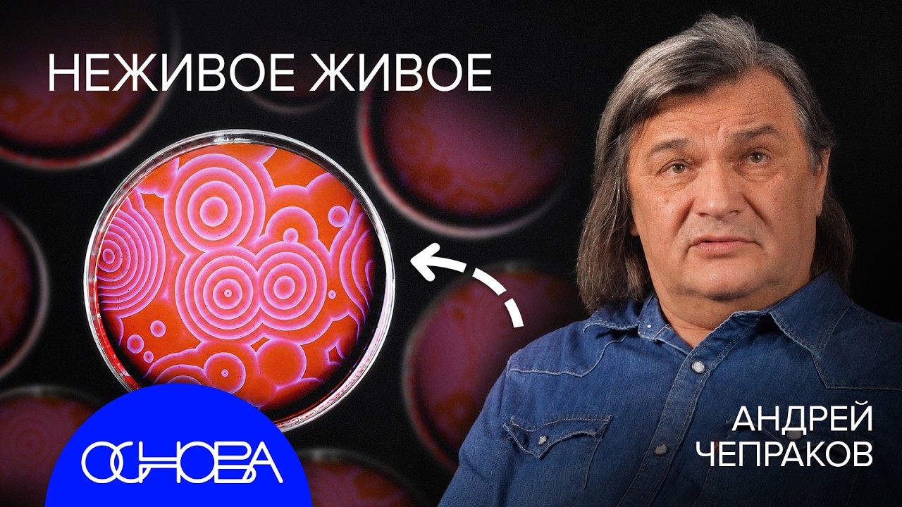 БЕЗУМНАЯ ХИМИЯ: ИЗ ЧЕГО СОСТОИТ НАШ МИР