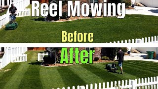 Mowing Low with my Allett Reel Mower: Summer Yard Cleanup, bush trim, power rake, Reel mowing