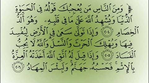سورة البقرة 204- 210 قصة المنافق