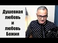 Душевная любовь и любовь Божия. Бог есть любовь | Общение через Zoom | Проповедь. Герман Бем