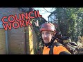 Tree Pruning on a Council Contract [UK Climbing Arborist]