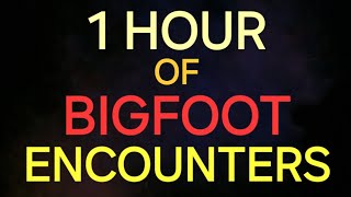 1 HOUR OF BIGFOOT ENCOUNTERS