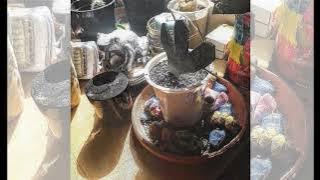 A.J. Kaufmann - Favoritism - full album (2023)