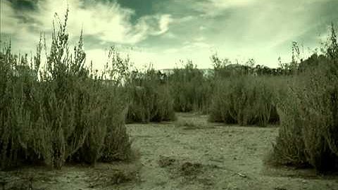 Intro blueprint reveal and submerge