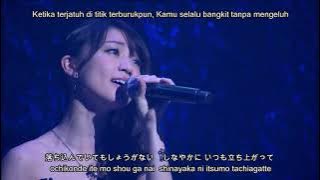 AKB48 Request Hour 2014 - Tsuyosa no Yoasa de Aida ni