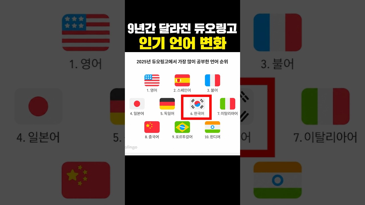 9년간 달라진 듀오링고 인기 언어 변화