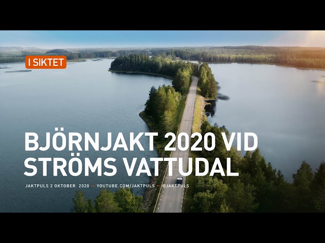 Björnjakt 2020 vid Ströms Vattudal class=