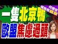 吃不到北京烤鴨？歐盟竟為了「一隻北京鴨」陷入集體焦慮｜一隻北京鴨 歐盟焦慮過頭｜介文汲.張延廷.黃敬平深度剖析【何橞瑢辣晚報】精華版 @中天新聞CtiNews