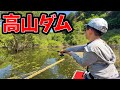 木の下にフリックシェイクを投げ込むと…