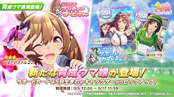 ラグナtv Youtube ラグナtv Youtube