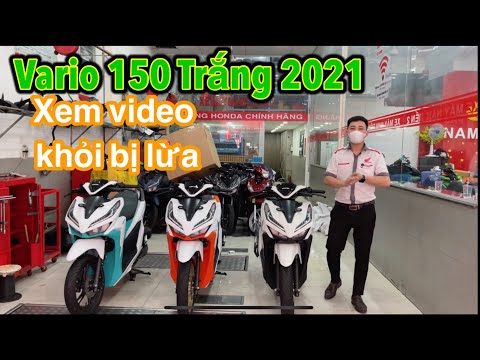 Vario 150 Có Bao Nhiêu Màu - Vario 150 màu trắng đen 2021 cẩn thận bị lừa - Nam hihi