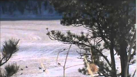 2014 Wyoming deer hunt