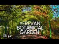Walking in Yerevan Botanical Garden, Armenia, August 15, 2023, 4K 60fps