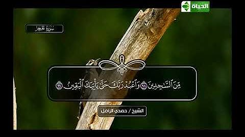 تعليم تلاوة سورة الحجر من الاستاذ الشيخ حمدي الزامل رحمه الله