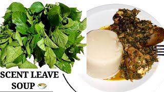 HOW TO COOK SCENT LEAF SOUP | OFE NCHANWU | SOUP SERIES 1