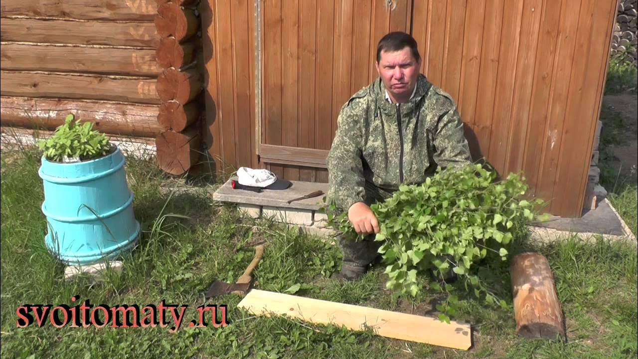 Как заготовить березовые веники для бани - YouTube