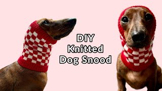 Let's knit a dog snood for my mini dachshund!