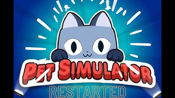 Starting from scratch Part 1 - Pet Simulator X