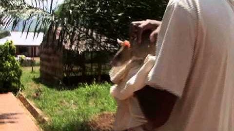 Instructional Software: Anchor Video: READ 180 Next Generation