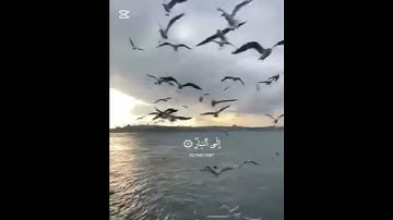 تلاوه خاشعه بصوت الشيخ عمر القزابرى