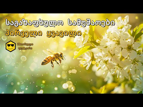 პირველი ყვავილი