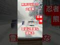 熊！雪道大事故に。生命力半端ない。無事帰宅。 #バズ動画 #automobile #まさかの光景