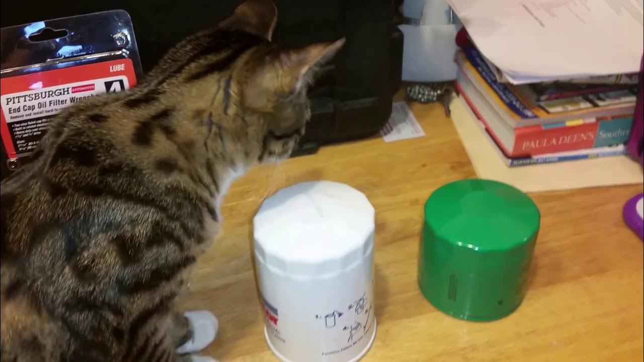 Harbor freight oil filter socket set 4 peice YouTube