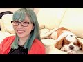 ムーンライト伝説 〜 アラレちゃんの曲 #38Movie