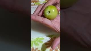 Fresh Tomato And Mr.chips/Aira Potian Vlogs Resimi